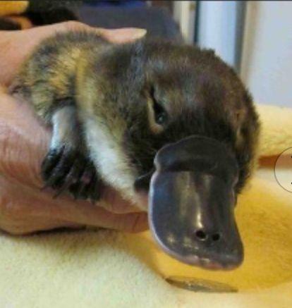 aflower1131's profile picture. 군자대로행