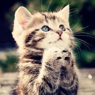 HashtagCuteness Profile Picture