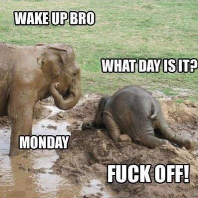 tonyhansen60's profile picture. 