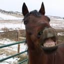 Nate Klein - @NSA32676 - Twitter