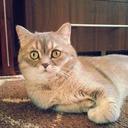 Sasha Ray - @sashanayplay - Twitter