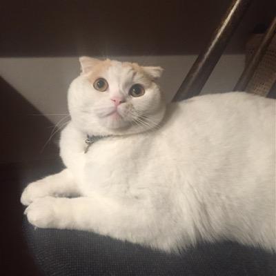 ooshiorecords's profile picture. 広島市の奥座敷、可部夢街道に店を構えるCD.レコード買取と販売& 秘密基地「大潮レコード」です。皆様が楽しくなるような発信を心掛けます！気軽にFOLLOW ME!