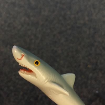 Born in the deep...
Attacking one class at a time...
I am, Shark Pen
