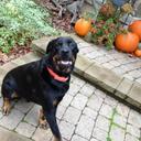 Natalie Corbin - @natalie_corbin - Twitter