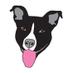 PitEssentials Rescue (@pitessentials) Twitter profile photo
