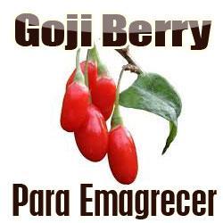Bem vindo ao nosso perfil. Aqui compartilharemos dicas exclusivas sobre Goji Berry. Baixe nosso ebook grátis...