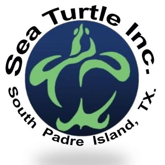 SeaTurtleInc Profile Picture