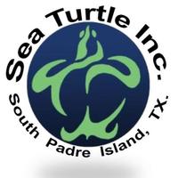 Sea Turtle, Inc. (@seaturtleinc) Twitter profile photo