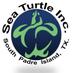 Sea Turtle, Inc. (@SeaTurtleInc) Twitter profile photo