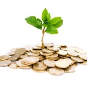 Supporting entrepreneurship and venture capital