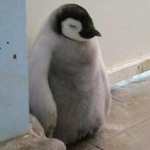 JITSUMEISHI's profile picture. 