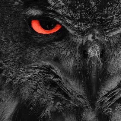 rara_avis_est's profile picture. 