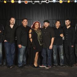 thumpinband's profile picture. Thumpin' is  Denver's Favorite Dance Band!  Funk, Soul, and R&B The members of Thumpin' bring the funk to keep you dancing all night!