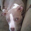 Stacey Murrell - @Murre10Stacey - Twitter