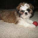 Douglas Pfeiffer - @dougpfeiffer1 - Twitter