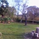 .BRANCO ABEL - @branco_abel - Twitter