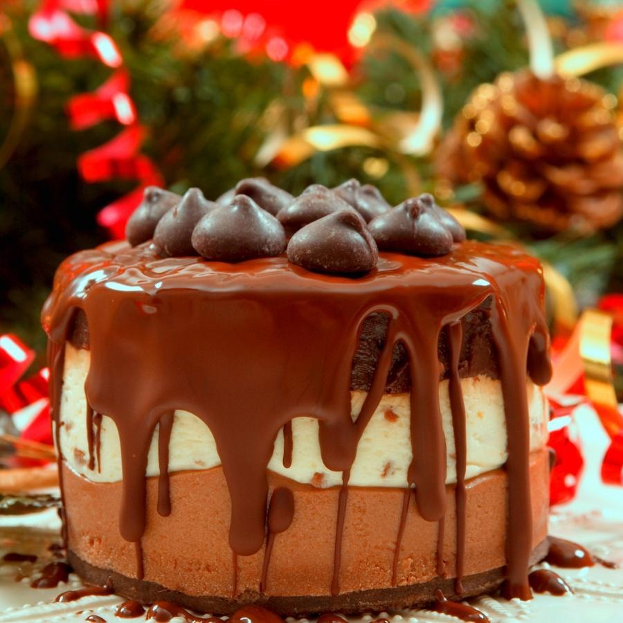 CakeSchoolgo's profile picture. 