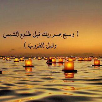 ‏‏احذر أن يستولي عليك الإحباط فتصبح صفراً في الحياة؛ لا وزن لك ولا قيمة اصبر، وقاوم، وتحمّل فالعثرة التي تسقطك أحياناً تنعشك .