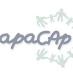 APACAp (@apacap1) Twitter profile photo