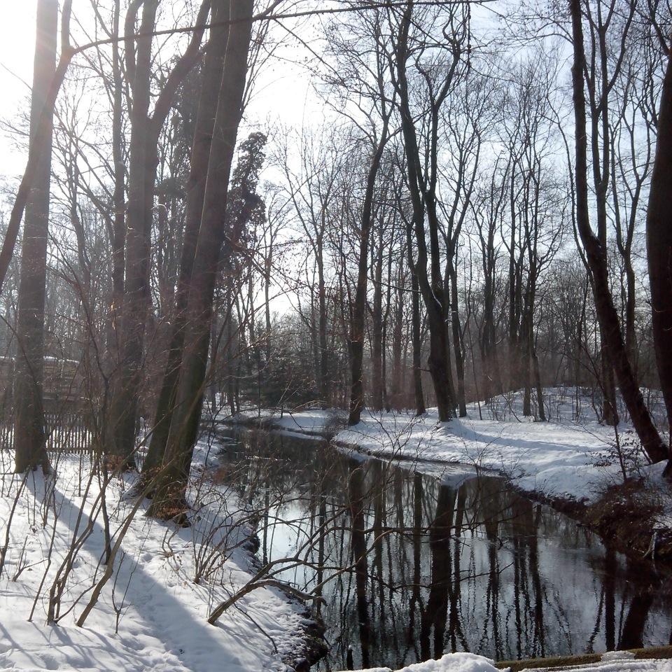 aurore_taillet's profile picture. 