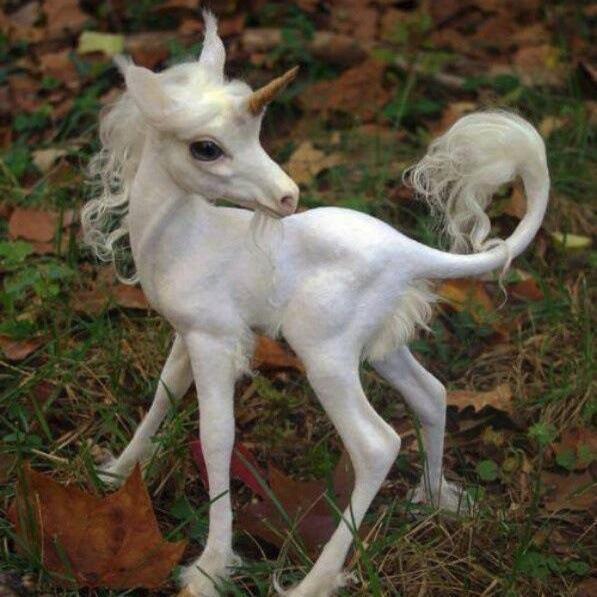 I love Unicorns! Enjoy Supernatural, The Flash, Arrow, Criminal Minds, anything else sci fi /fantasy!  A WoW Altoholic!