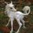 LdySerenityNoel's profile image