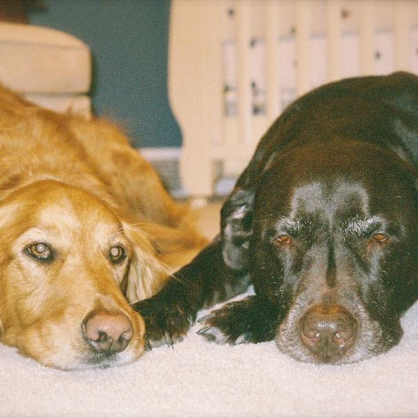 timmymoran's profile picture. 