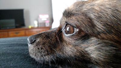 joerizk44's profile picture. 