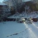 Maureen stanfield - @Maureenstanfie1 - Twitter