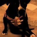 Emanuel Correa - @EmanuelCorre - Twitter