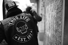 0a4ba81ceedf456's profile picture. 