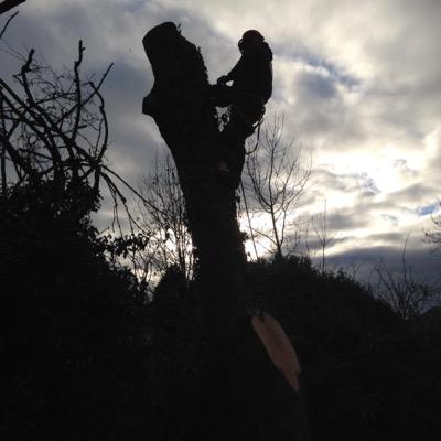 jonahimj's profile picture. 