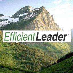 EfficientLeader helps managers work smarter and faster with tips and resources.  Keep leveling up!