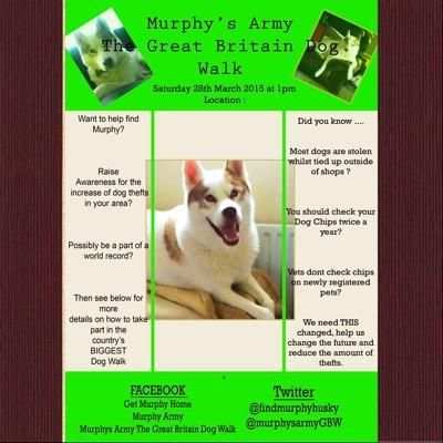 MurphysArmySom's profile picture. 