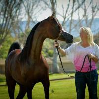Louise Brian (@louisebrianatst) 's Twitter Profile Photo Louise Brian (@louisebrianatst) 's Twitter Profile Photo