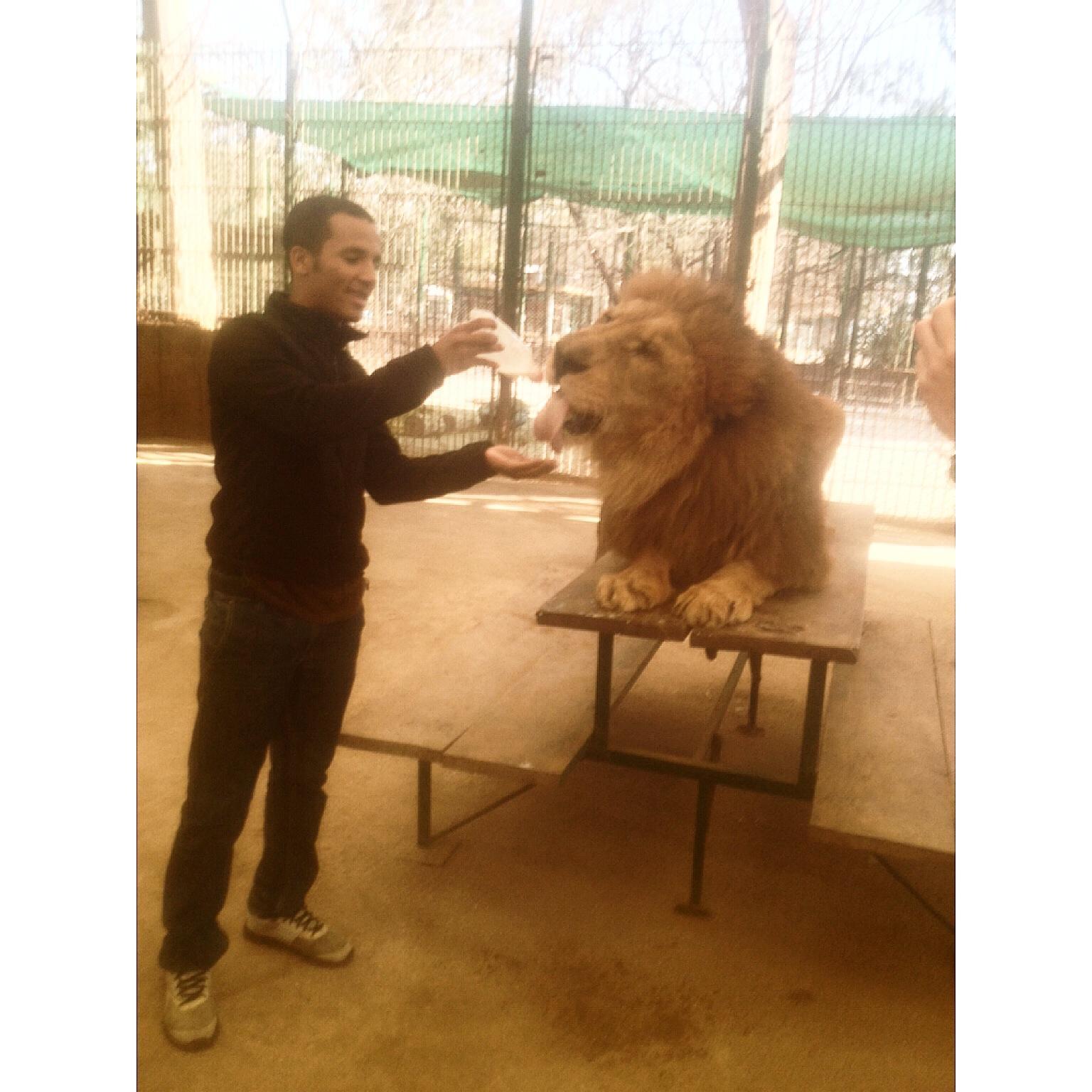 MarceloCarrill0's profile picture. En Venezuela   , #iamOTHER