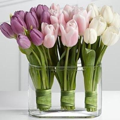 ﺇﺫﺍ ﻋﺰﻣﺖ ﻟﻔﻌﻞ ﺃﻣﺮ .. ﻓﺎﺟﻌﻞ ﺍﻟﺘﻮﻛﻞ ﻣﺮﻛﺒﺔ ﺍﻟﻌﺒﻮﺭ ..