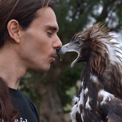 falcong_'s profile picture. falcong dimostrazioni con rapaci lupi cecoslovacchi e cavalli. concerti pianoforte e animali. passeggiate wild