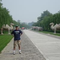 PADDY IRISH (@paddyhsiri) 's Twitter Profile