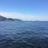 ferri_martin's profile image