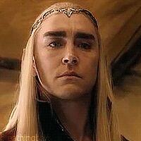 ¥Bitchy Thranduil¥ (@divnesavage) 's Twitter Profile