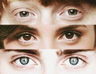 Directioner, Lovatic, Potterheart☇, Harmonizer , Niall girl, Ally girl.