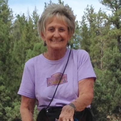 samidog12's profile picture. 