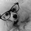 Madelyn Wade - @wade_madelyn - Twitter