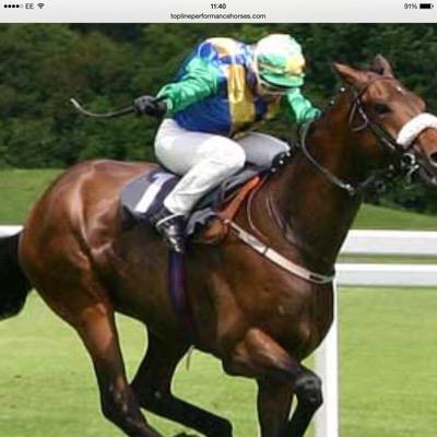 female close to Newmarket very close to lots of Newmarket stables I used be independent work rider for the best horse tips follow the female in the know