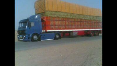 ‏‏‏فحل موجب يمني رحاااااال