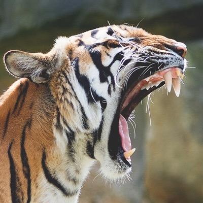 BertjeMr's profile picture. 