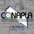 CONAPLA3dF's profile image