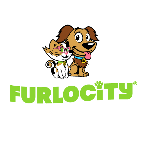 Easily find and instantly book trusted pet boarding and pet-friendly hotels! http://t.co/7PaIERRp4y