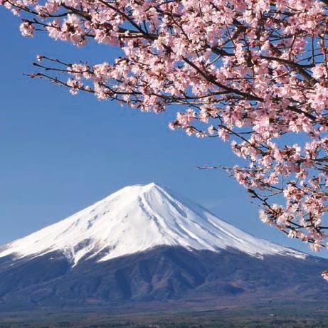 SunofFortune's profile picture. 夢と希望の芸能界が実は汚染だらけの時代錯誤の世界であったとは――。驚愕の真実――日本の大損失に至るようなレベルのことが――。 芸能人の人権と事務所の力とメディアから日本への影響へ――。 バーニングから日本の闇、そして世界の闇へ――。基本的には政権には物言いますが？奴隷ではないので！神出鬼没。